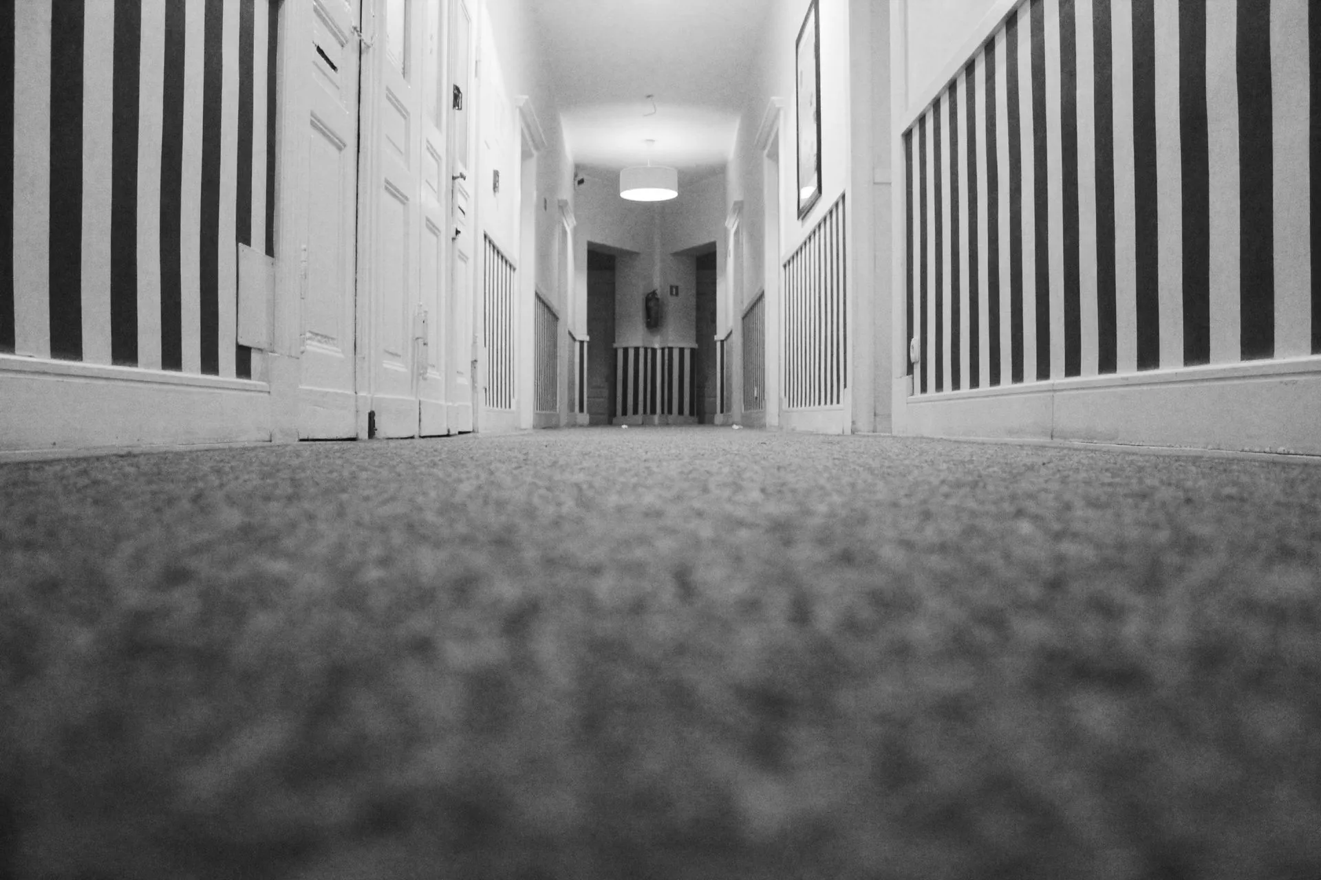 professional carpet cleaning in Saskatoon
