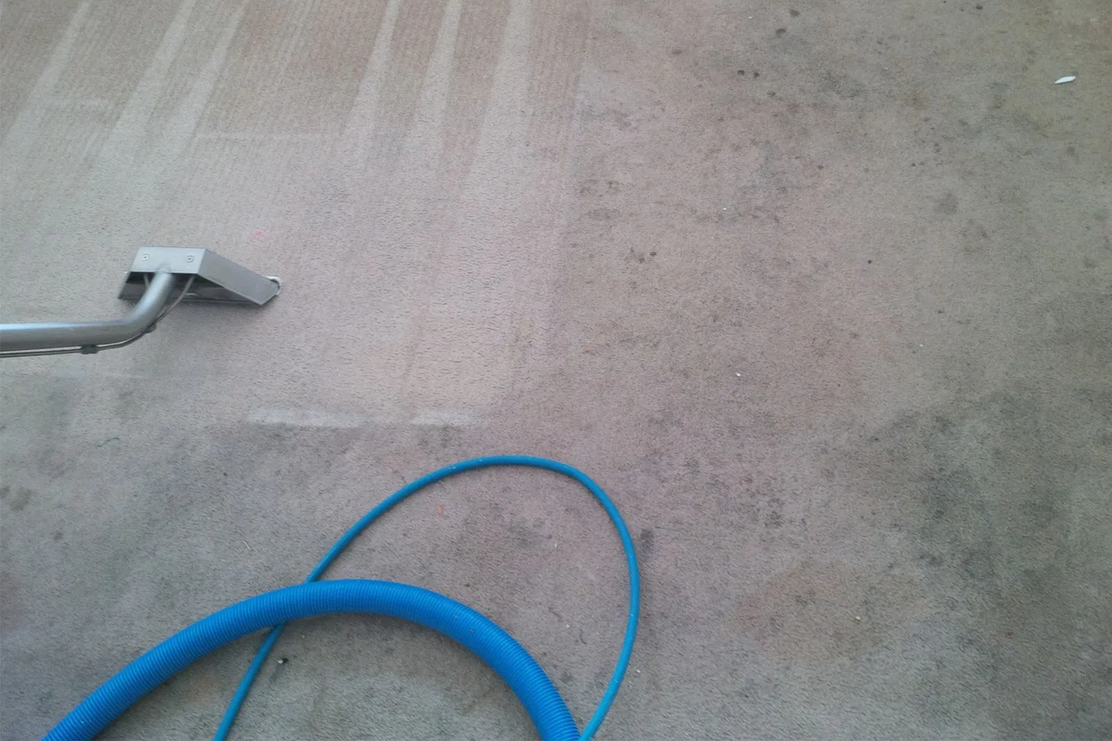 vacuum cleaner is cleaning a carpet