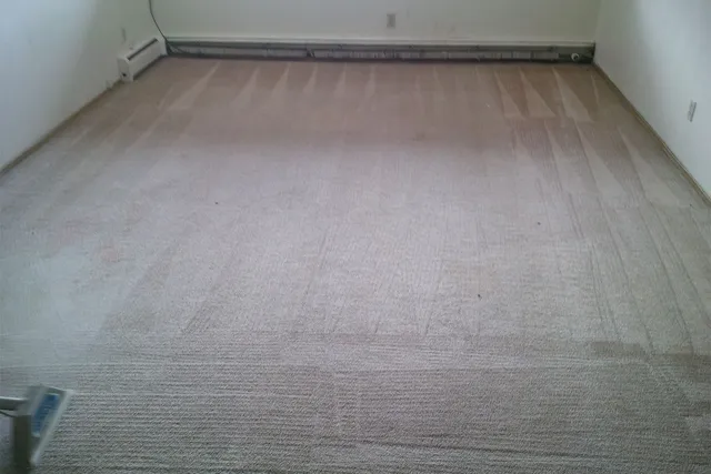 Carpet Cleaning
