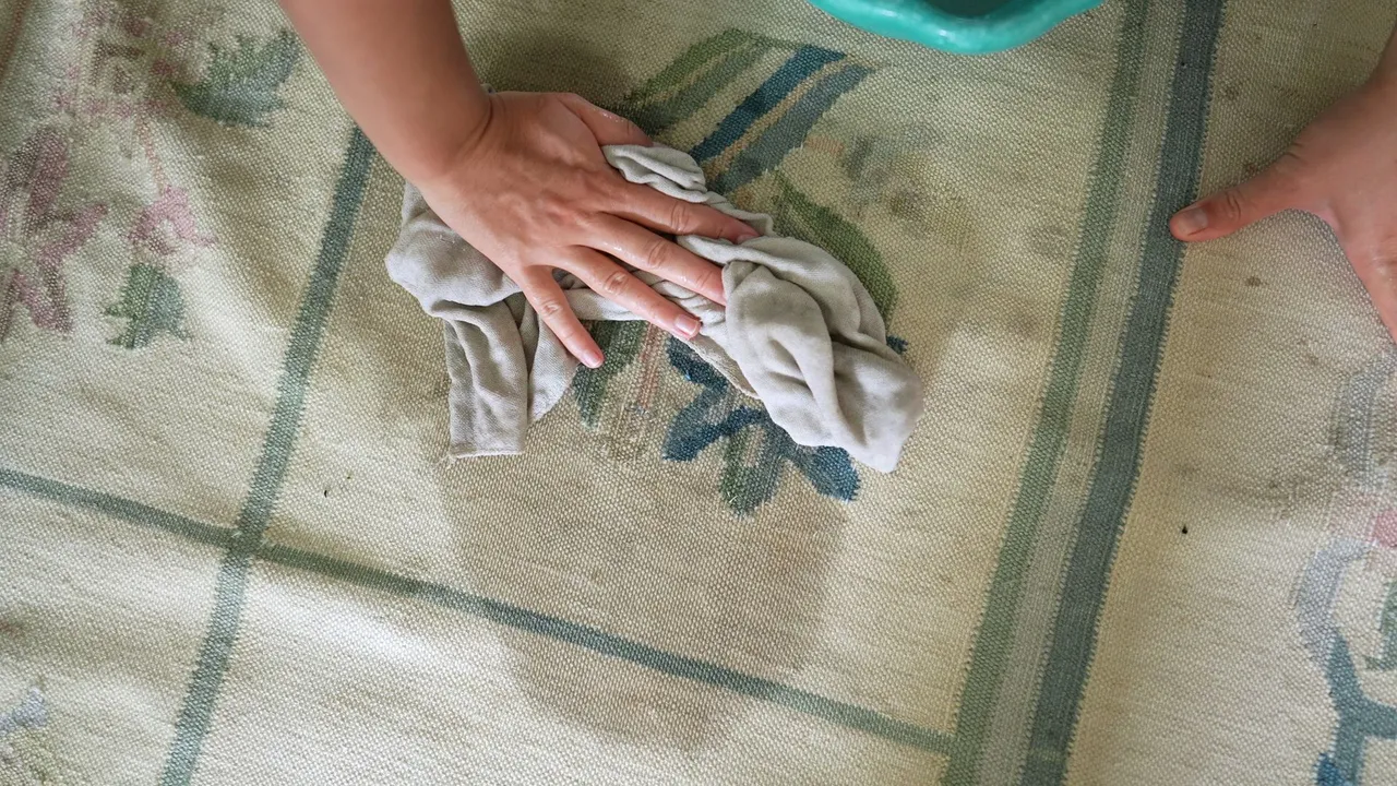 professional carpet cleaning Saskatoon services
