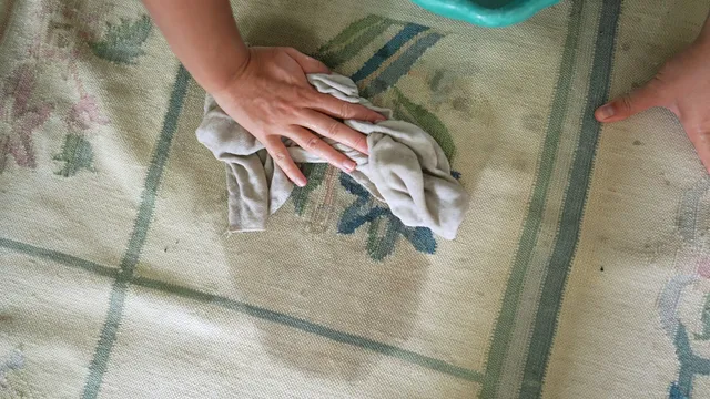 professional carpet cleaning Saskatoon services