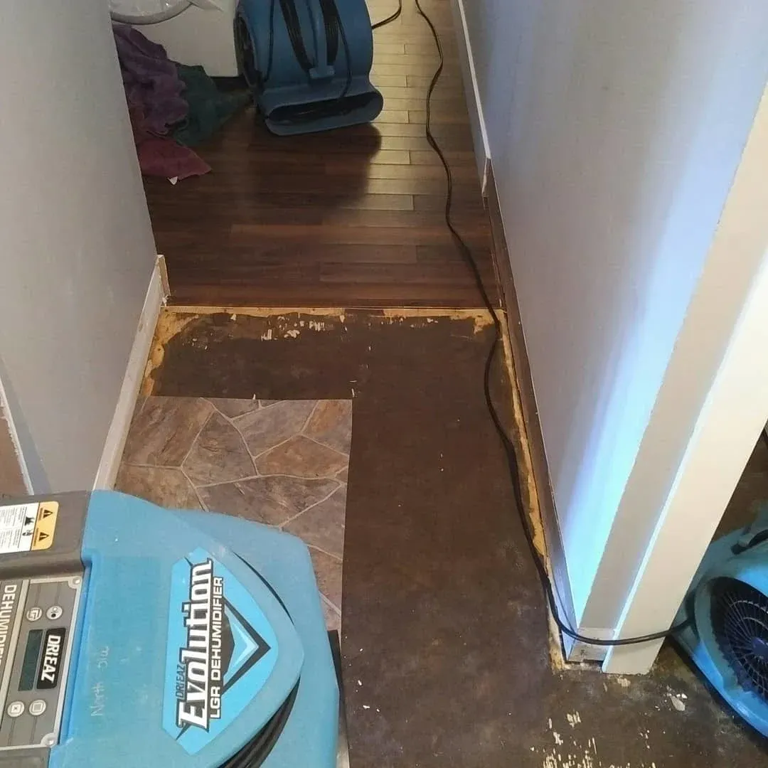 Emergency water restoration in Saskatoon after a sewer backup